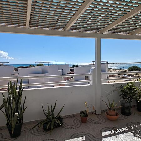 Tropical Leaves Sea View Penthouse Ca Greta 2 Floor Appartement Sal Rei Buitenkant foto
