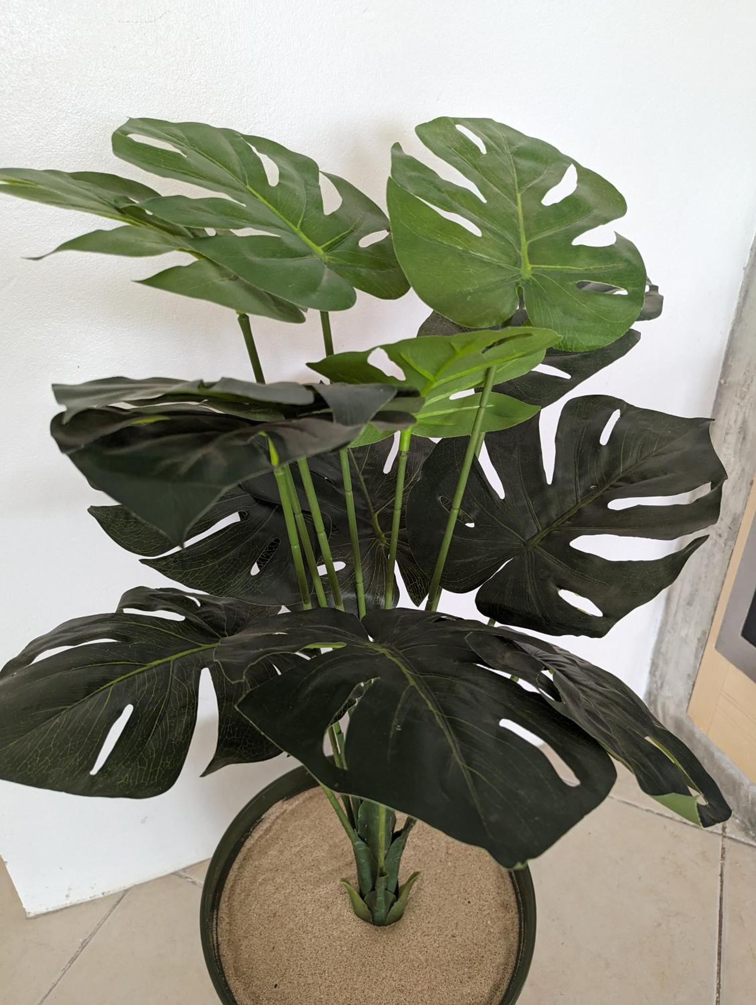 Tropical Leaves Sea View Penthouse Ca Greta 2 Floor Appartement Sal Rei Buitenkant foto